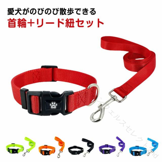 犬用 首輪＋リードセット ナイロン（楽天）